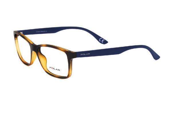 POLAR Theo 420