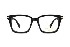 POLAR Gold 02 77