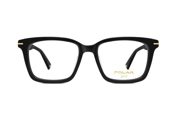 POLAR Gold 02 77
