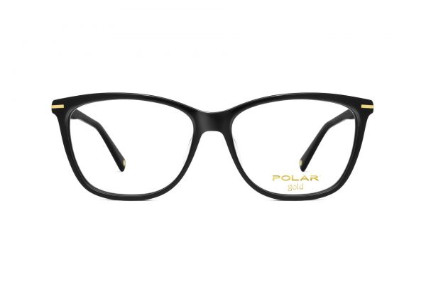 POLAR Gold 09 77