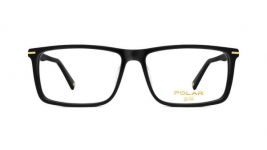 POLAR Gold 10 76