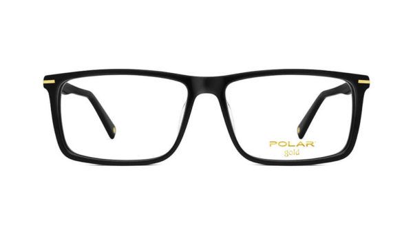 POLAR Gold 10 76