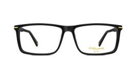 POLAR Gold 10 77