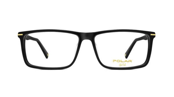 POLAR Gold 10 77