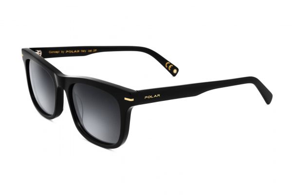 POLAR Gold 110 77