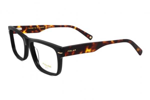 POLAR Gold 13 476