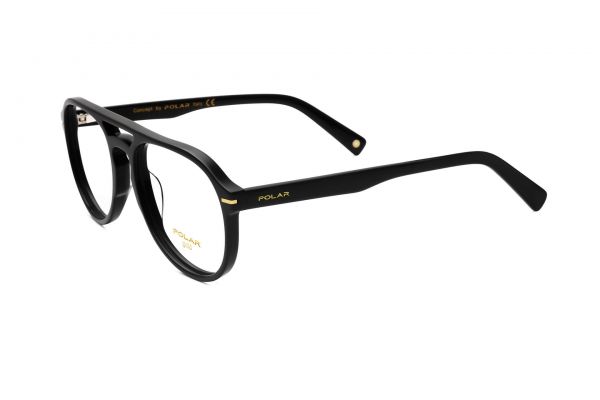 POLAR Gold 41 77